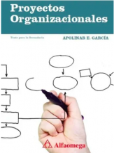 Proyectos organizacionales