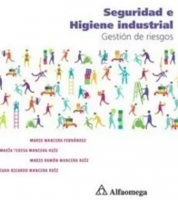 SEGURIDAD E HIGIENE INDUSTRIAL Gestión de riesgos