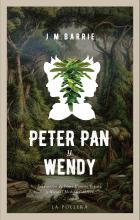 El año 1904 se estrenó por primera vez la obra de teatro de J.M Barrie titulada Peter Pan, o el niño que no quería crecer. Cuatro años más tarde la inquietud del público por el destino de Wendy Darling, la protagonista junto con Peter Pan, obligó al autor a incluir un epílogo en la representación. Cuando en 1911 se editó la adaptación a novela, la aventura ya era tanto de él como de ella y la obra merecía, además de su último capítulo, un nuevo título que le hiciera justicia. Peter Pan y Wendy es la novela 