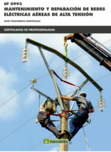 Mantenimiento y Reparación de Redes Eléctricas