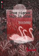 En Tres cisnes bajo la luna confluyen elementos de la novela de terror o misterio y del relato policial. Narra una historia en la que sueño y realidad mantienen un contrapunto hasta que un terrible secreto es develado.