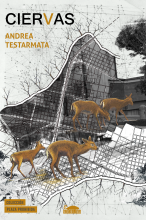 Tapa del poemario Ciervas de la autora Andrea Testarmata