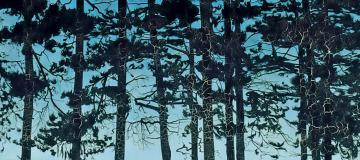 Un jovencísimo Nikolái Gógol, que intentaba hacerse un hueco en los círculos culturales de la sociedad petersburguesa, comprendió que la ciudad adoraba el exotismo, los secretos y el misterio de su tierra natal,