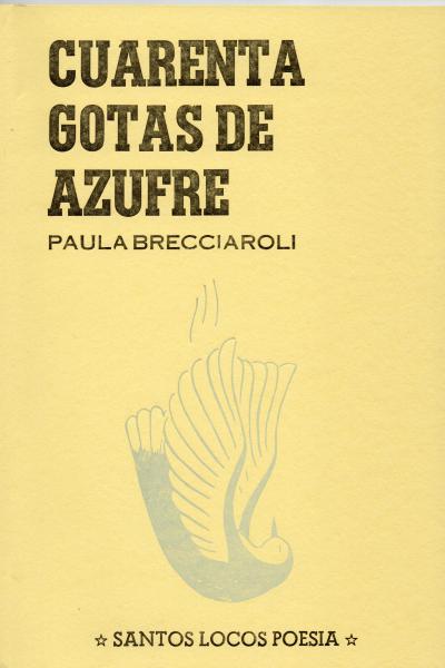 Cuarenta gotas de azufre de Paula Brecciaroli