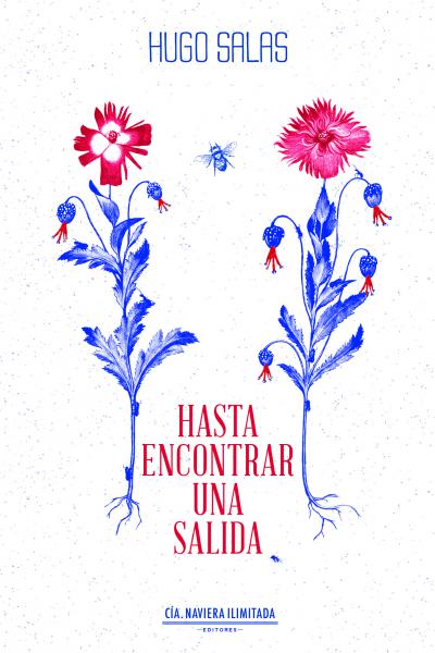 Tapa "Hasta encontrar una salida" de Hugo Salas