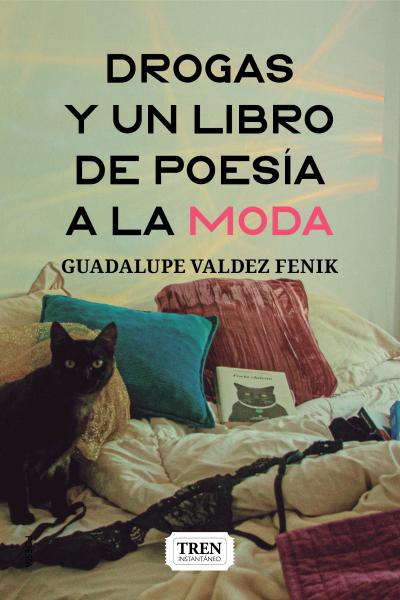 "Drogas y un libro de poesía a la moda" , poesía, Guadalupe Valdez Fenik, poesía argentina contemporánea