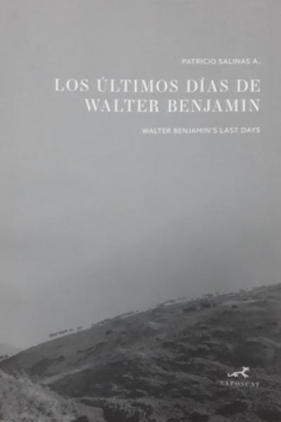 El fotoperiodista chileno-sueco Patricio Salinas se maravilló con Walter Benjamin cuando estudiaba Sociología. Con el golpe de estado en Chile fue detenido durante dos años en campos de prisioneros y luego expulsado del país. Desde 1976 vivió como exiliado en Estocolmo, donde Benjamin se volvió uno de sus autores fundamentales. Años después, entre 2015 y 2016, siguió a pie el camino que hizo el filósofo a través de los Pirineos para huir del nazismo hasta quedar atrapado en el pueblo de Portbou, donde se su