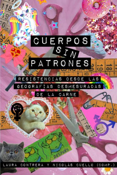 prácticas artísticas, políticas sexuales, representaciones críticas de las emociones y gráficas alternativas