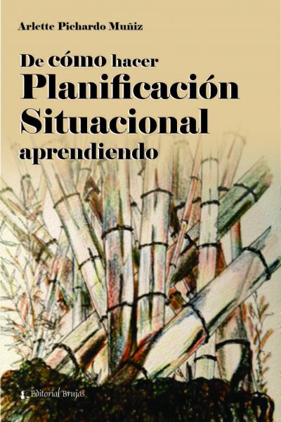 De como hacer planificación situacional aprendiendo