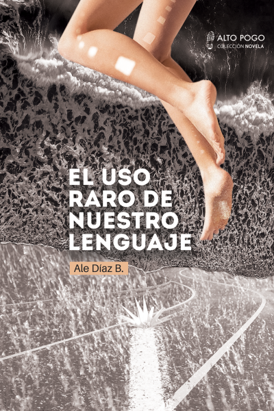 Una secuencia inestable. El viaje como solución de continuidad, locaciones solitarias, abandonadas. Un clima de fin de fiesta, el desinterés y la abulia, la desidia y la resignación. Alejandro construye una novela sensual, impostada y espumosa; una novela que deberían filmar los hermanos Coen.