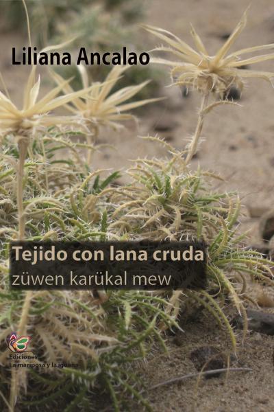 ¿Quién era yo? ¿Quién estaba siendo? ¿Quién soy? Hoy puedo afirmar que soy un “Tejido con lana cruda”, un Tejido en telar mapuche y también a dos agujas. Soy Lana Cruda, hilada con huso y también con rueca, teñida con raíz de calafate y también con anilina Colibrí (la que venía en latita). Soy mapuche con todo el orgullo, aunque no viva en el campo, aunque mis ancestros, aunque siga aprendiendo el mapuzungun: mi idioma materno, paterno, fraterno, filial y sororo.