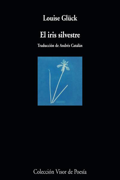 EL IRIS SILVESTRE