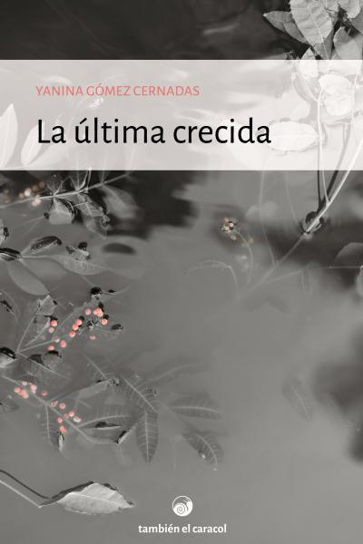 La última crecida, de Yanina Gómez Cernadas