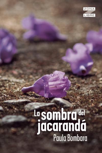 En esta novela se entrelazan dos conmovedoras historias: la de Roberto, un hombre que en su juventud se vio implicado en uno de los entierros clandestinos llevados a cabo por la dictadura del ´76, y la de Mateo y Agustín, dos jóvenes hermanos que emprenden la búsqueda de sus abuelos, desaparecidos en esos años. 