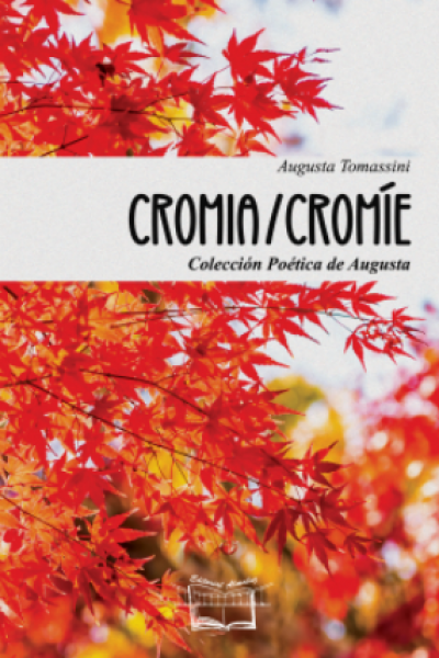 Tapa del libro Cromía