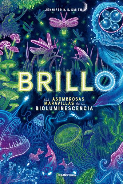 Brillo