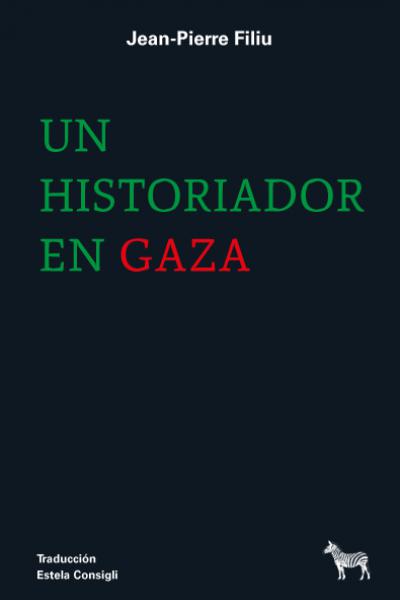 Un historiador en Gaza